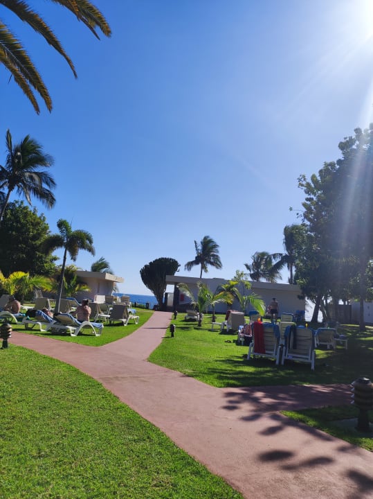 Gartenanlage Bull Costa Canaria & Spa - Adults only