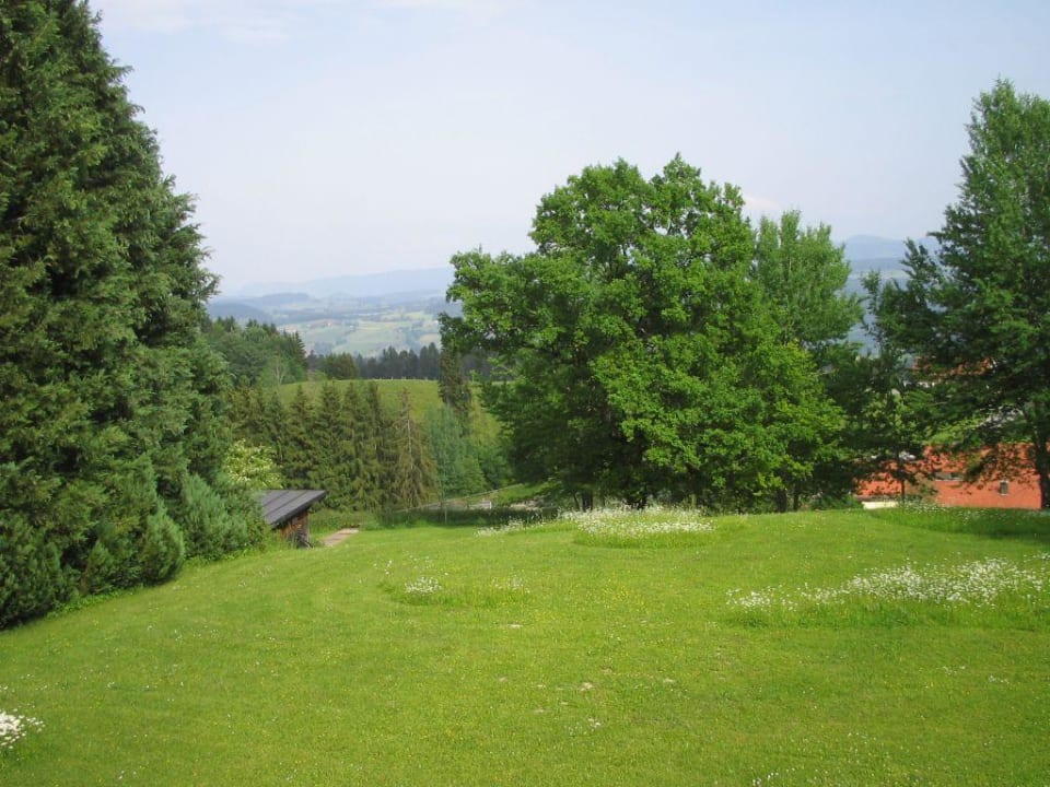 Blick aus dem Fenster! Gästehaus Pension Bergwald