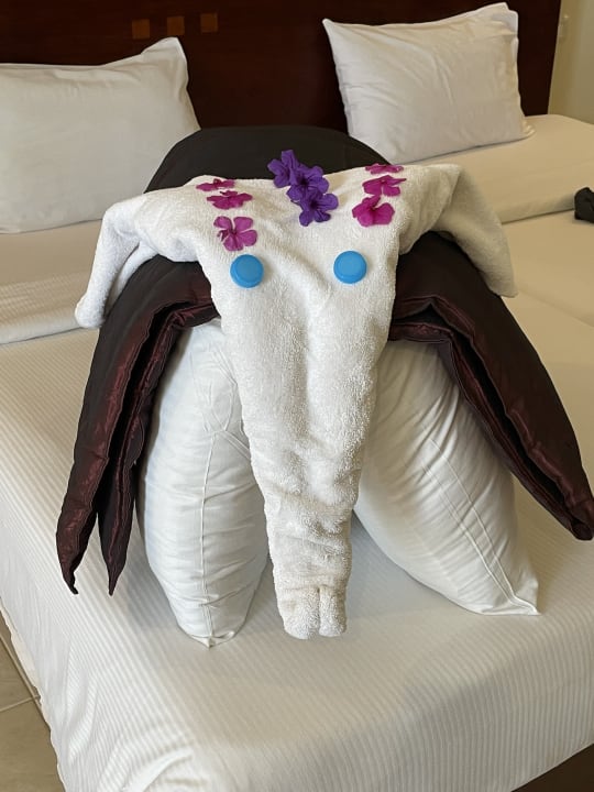 Zimmer Shams Prestige Abu Soma-Adults Only