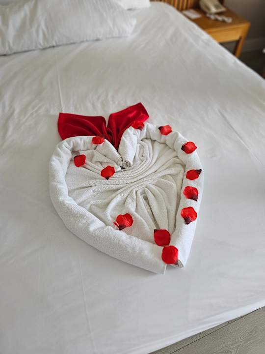 Zimmer Sidemarin Kirman Premium