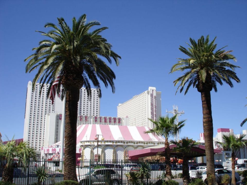 Blick auf das Hotel Hotel Circus Circus