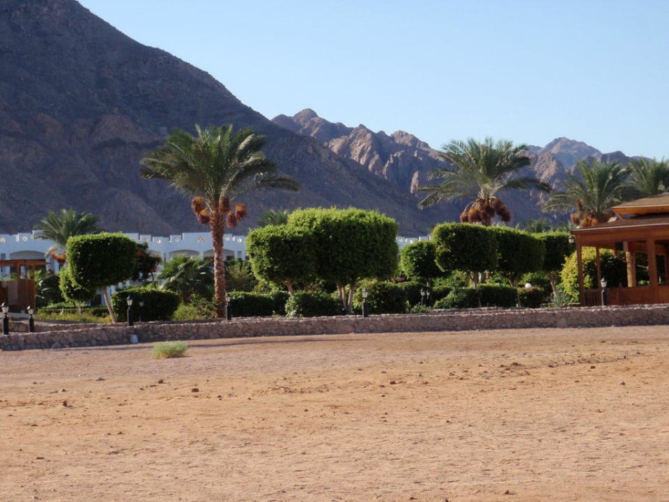 Gartenanlage vom Hotel aus Strandrichtung Happy Life Village