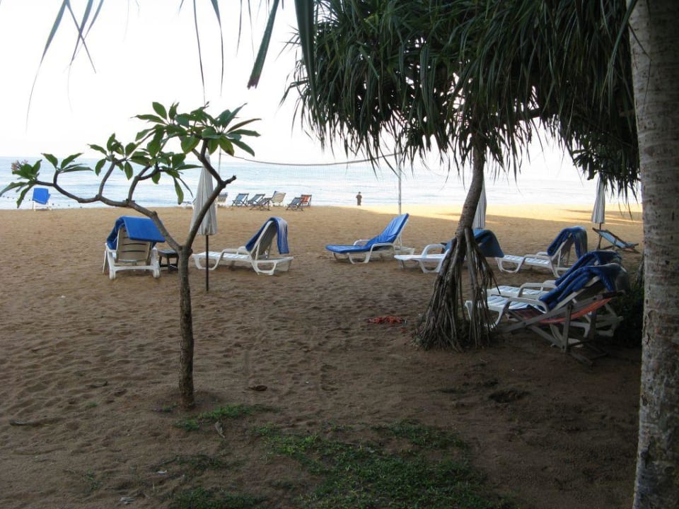 Пляж отеля Botany Beach Resort