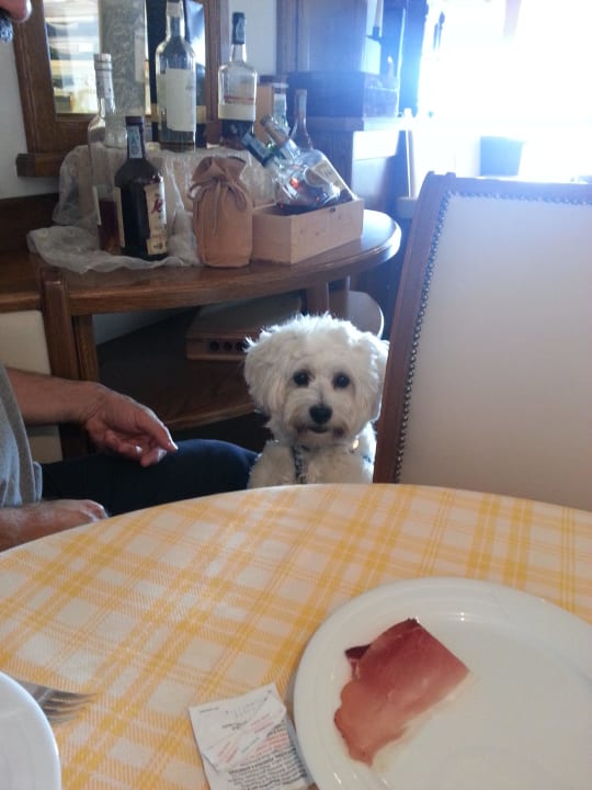 Colazione con Leo Berghotel Zirm