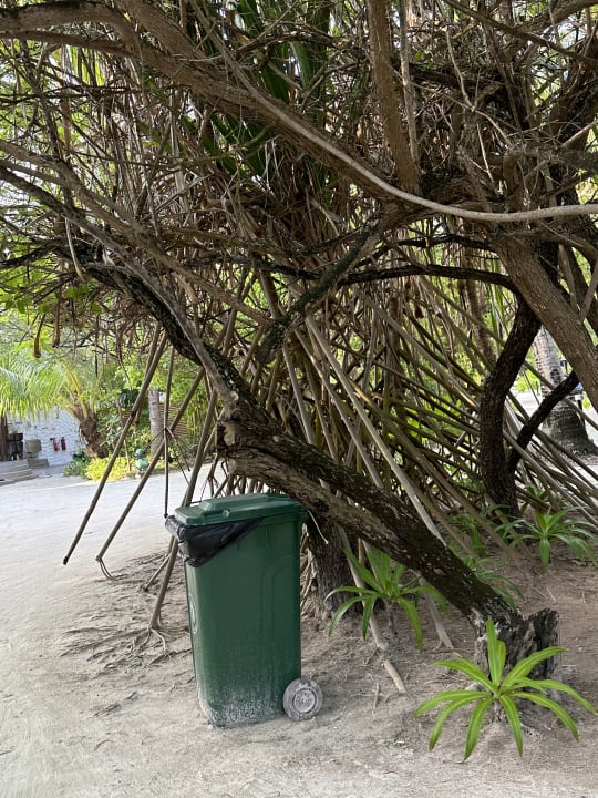 Sonstiges Cinnamon Dhonveli Maldives