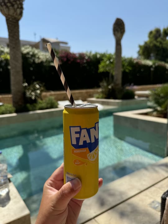 Pool Mitsis Selection Rinela