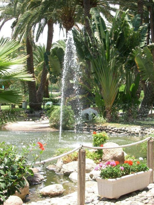 Gartenanlage Hotel Riu Palace Oasis