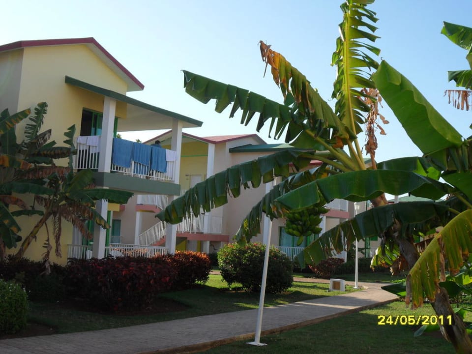 Blick von der Terrasse Iberostar Origin Taínos