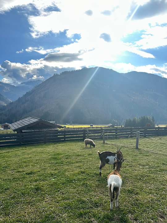 Ausblick Almfamilyhotel Scherer