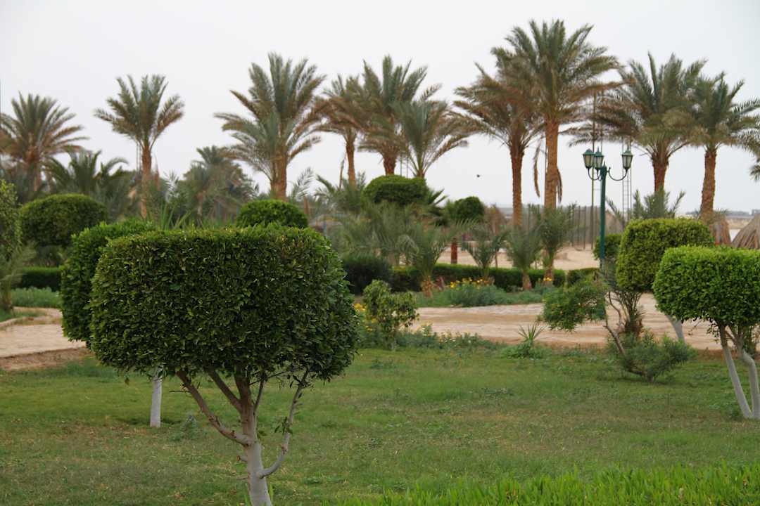 Januar 2013 Pensée Royal Garden Beach Resort