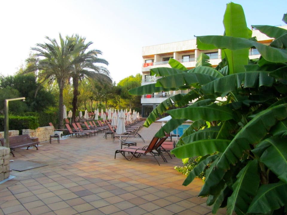 Blick auf den Pool / auf das Hotel Hotel Serrano Palace