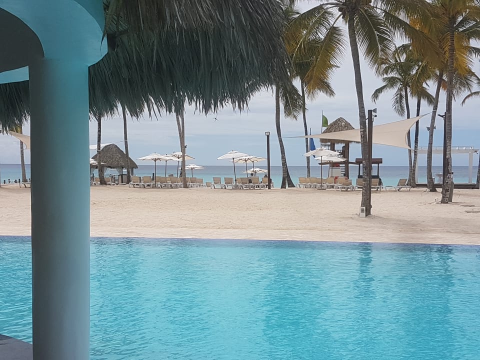 Pool Dreams Dominicus La Romana