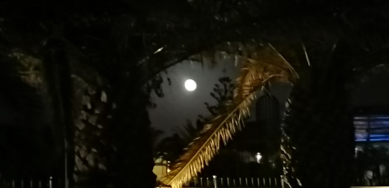 Ausblick Vantaris Luxury Beach Resort