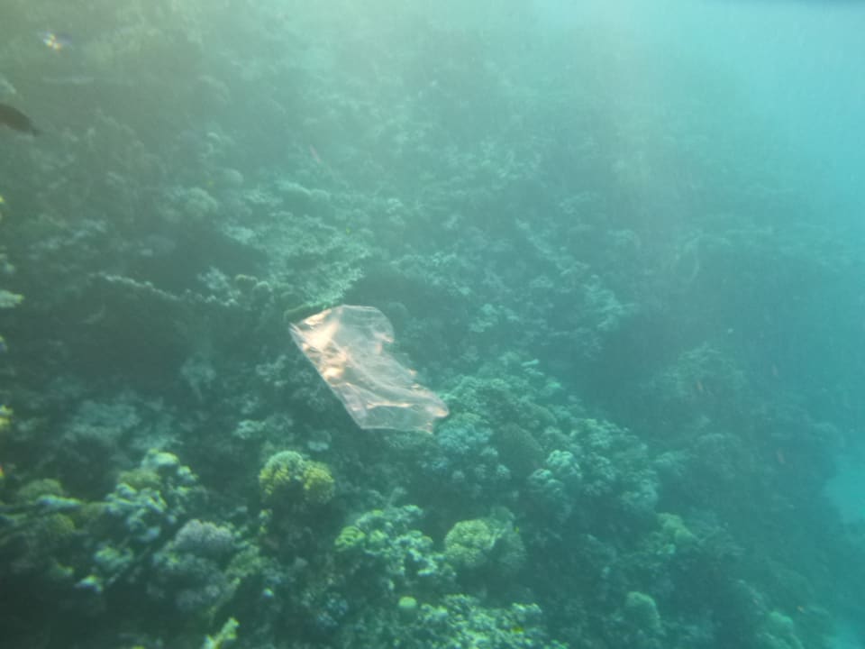 Sport & Freizeit Stella Beach Resort & Spa Makadi Bay