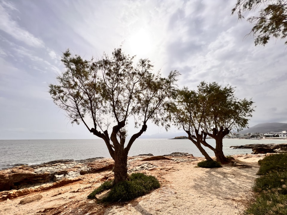 Ausblick Creta Maris Resort