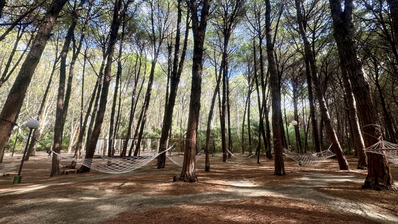 Gartenanlage TUI MAGIC LIFE Calabria