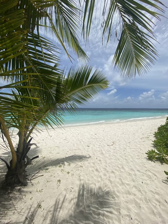 Strand Adaaran Select Meedhupparu Island Resort - Premium All Inclusive