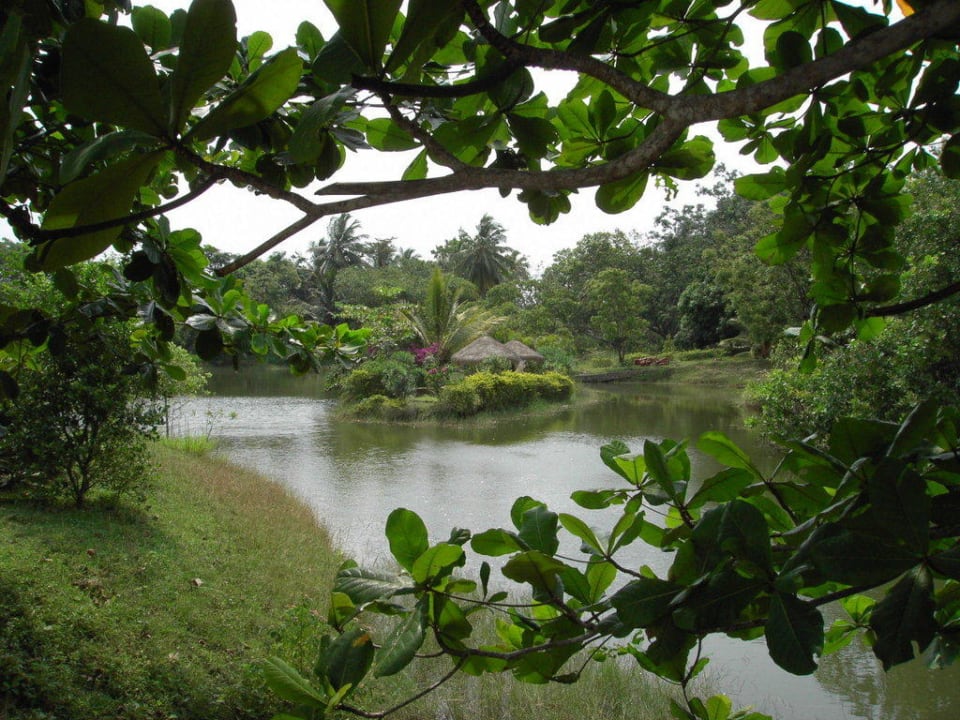 See Ayurveda Paradise Maho
