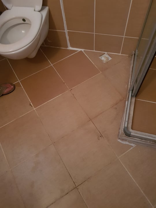 Zimmer Hotel Catty Cats Garden