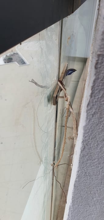 Zimmer Hampton by Hilton Marjan Island