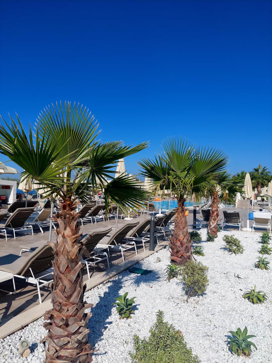 Pool Aminess Laurel Khalani Hotel