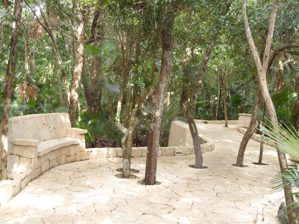 Ein langer Weg Catalonia Royal Tulum Beach & Spa Resort - Adults only