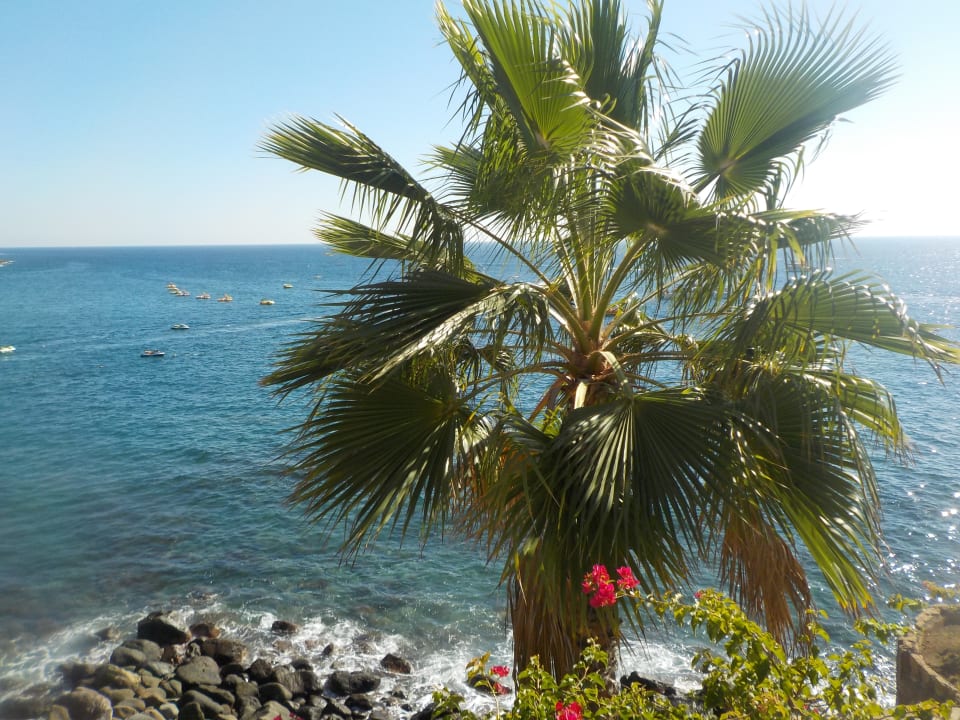 Ausblick Princess Taurito