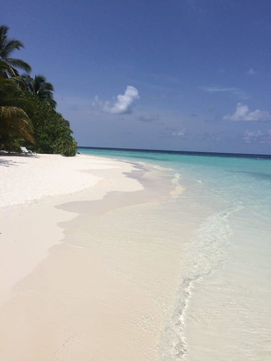 Riffseite Safari Island Maldives