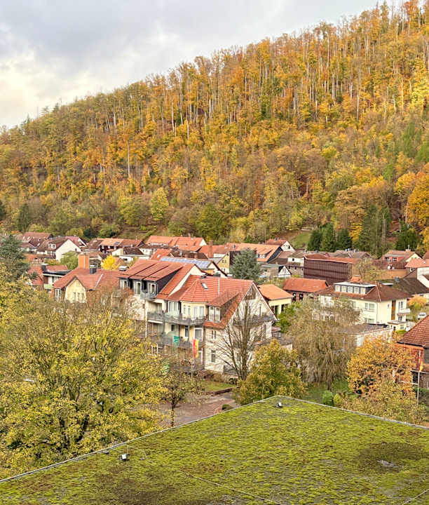 Ausblick re.vita - naturresort & spa