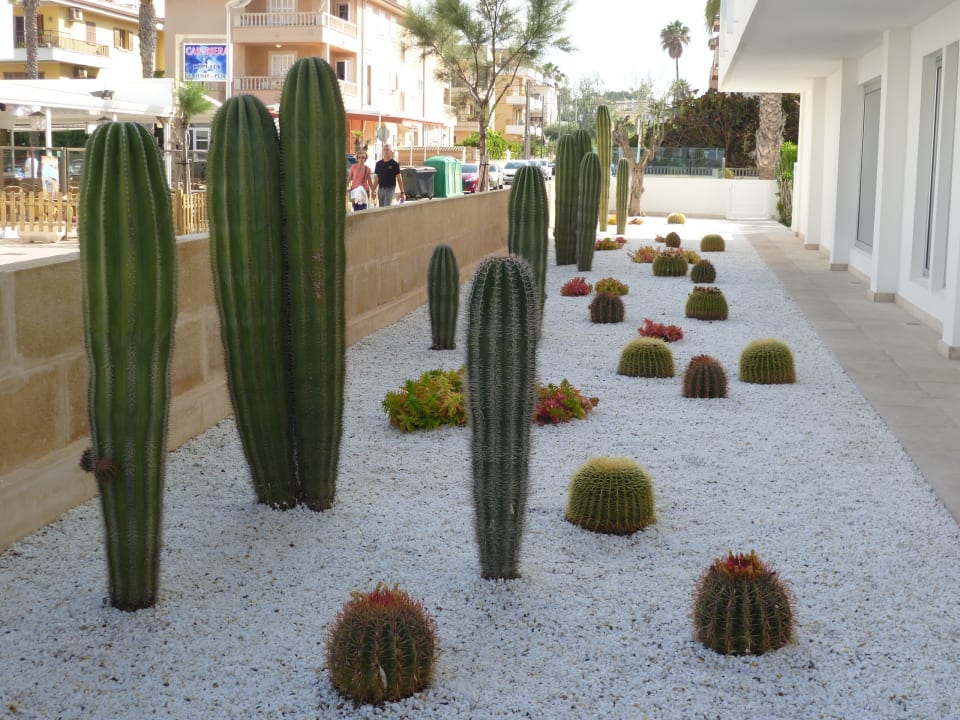 Sonstiges The Sea Hotel by Grupotel - Adults only