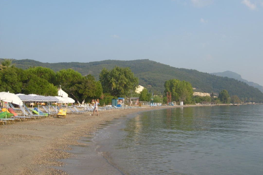 Direkter Strand am Hotel Hotel Albatros