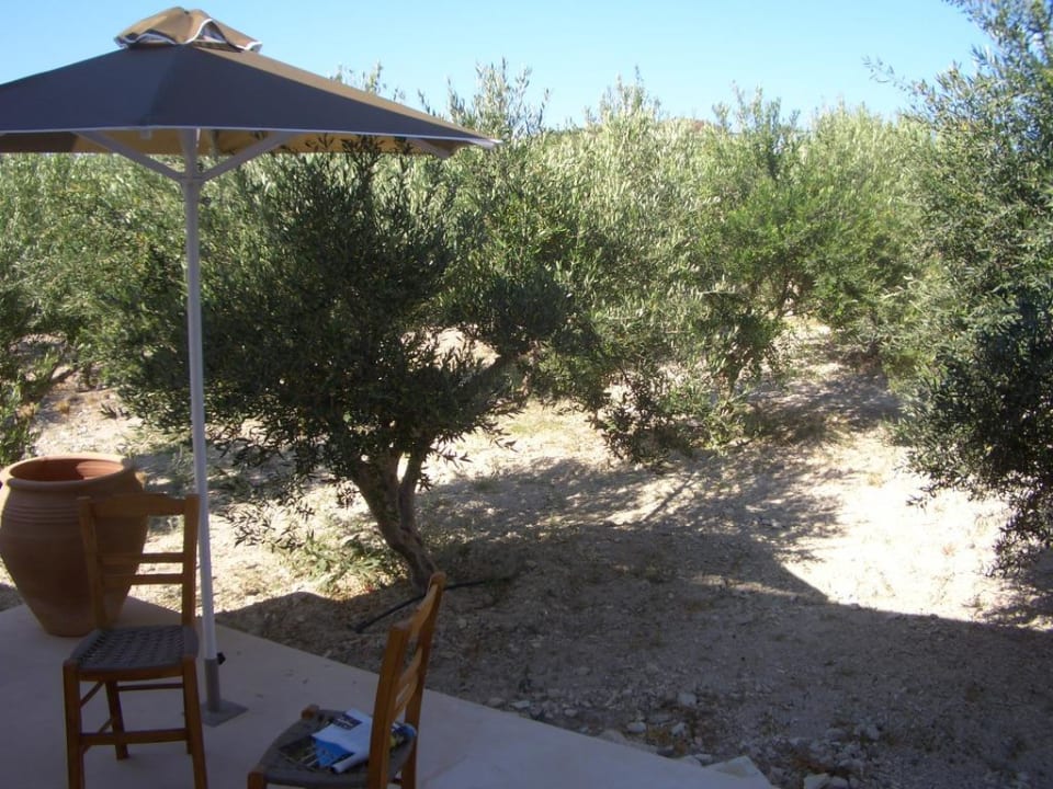 Terrasse Niriida Guesthouse