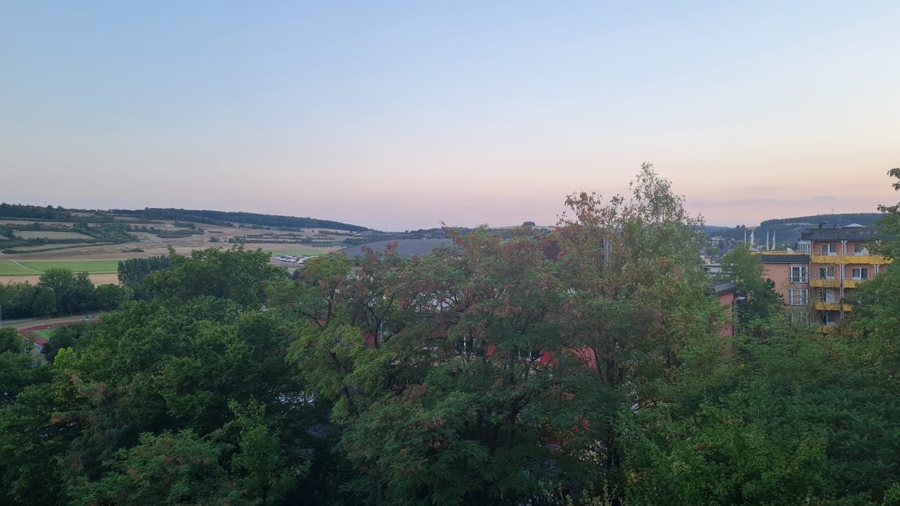Ausblick Vitalhotel König am Park