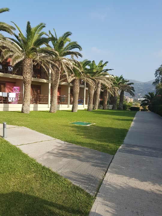 Gartenanlage allsun Hotel Malia Beach