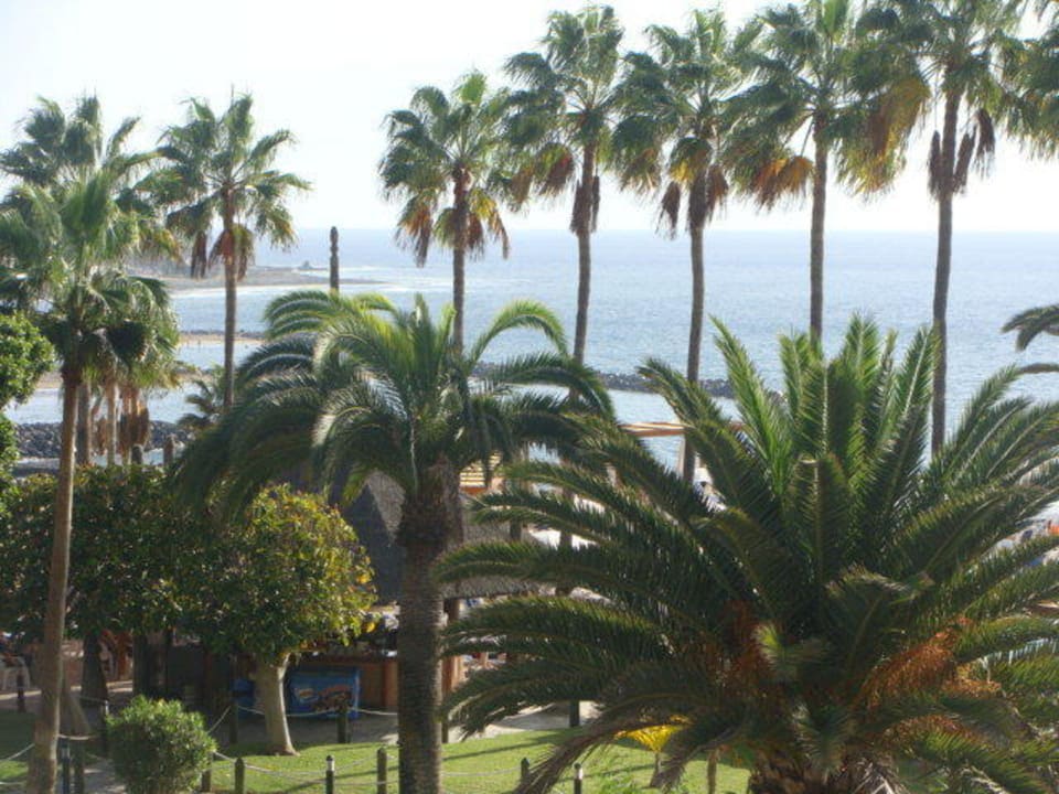 Herrliche Hotelanlage Iberostar Waves Bouganville Playa