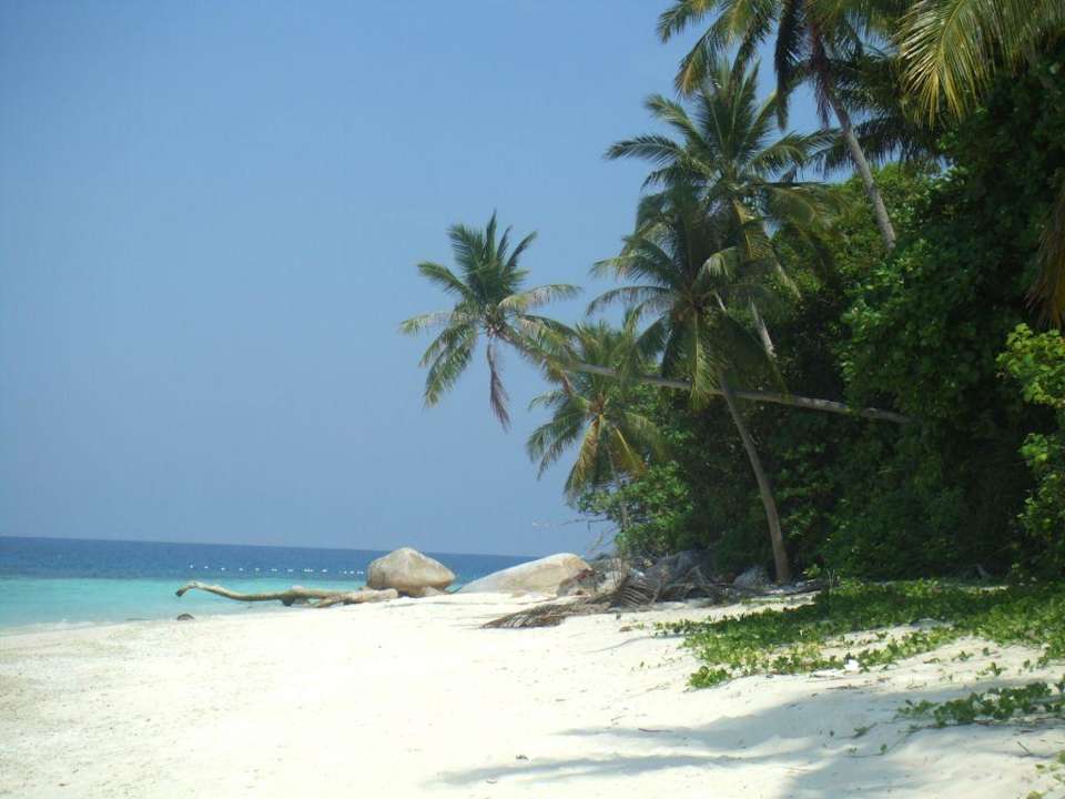 Traumstrand D'coconut Island Resort