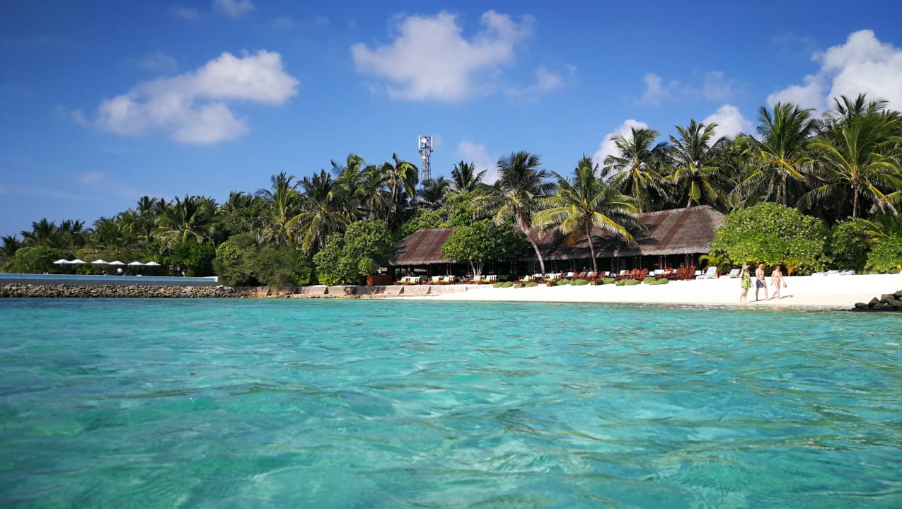 Strand Summer Island Maldives