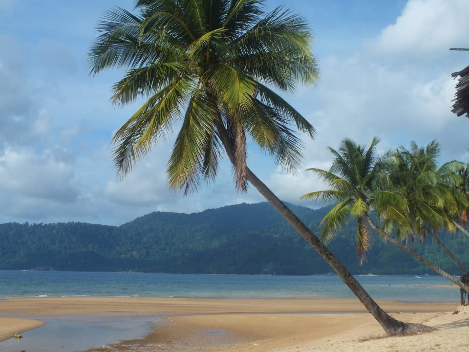 Strand bei Ebbe Berjaya Tioman Resort