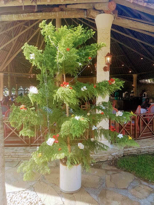 Gartenanlage Neptune Village Beach Resort & Spa