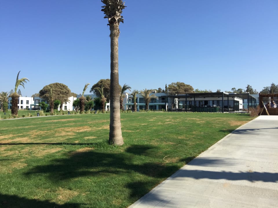 Außenansicht Paloma Finesse