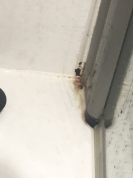 Zimmer VIVA Eden Lago