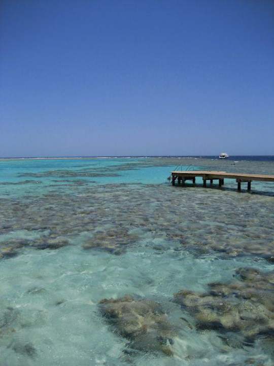 Traumhaftes Riff The Breakers Diving & Surfing Lodge