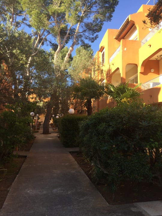 Gartenanlage HSM Club Torre Blanca