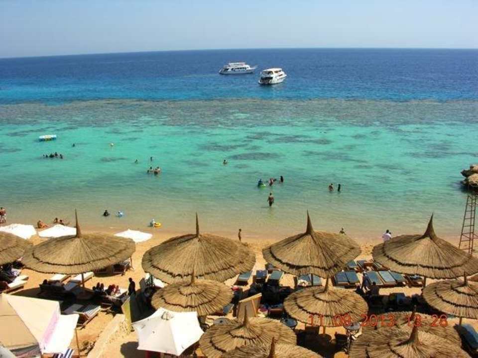 Widok na plażę i rafy Hotel El Faraana Reef Resort