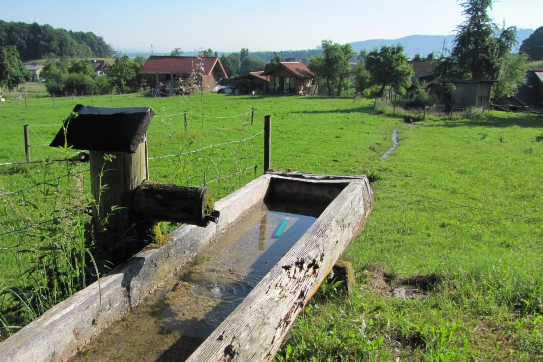 Waldmühle von der Kneippanlage Landhotel Waldmühle