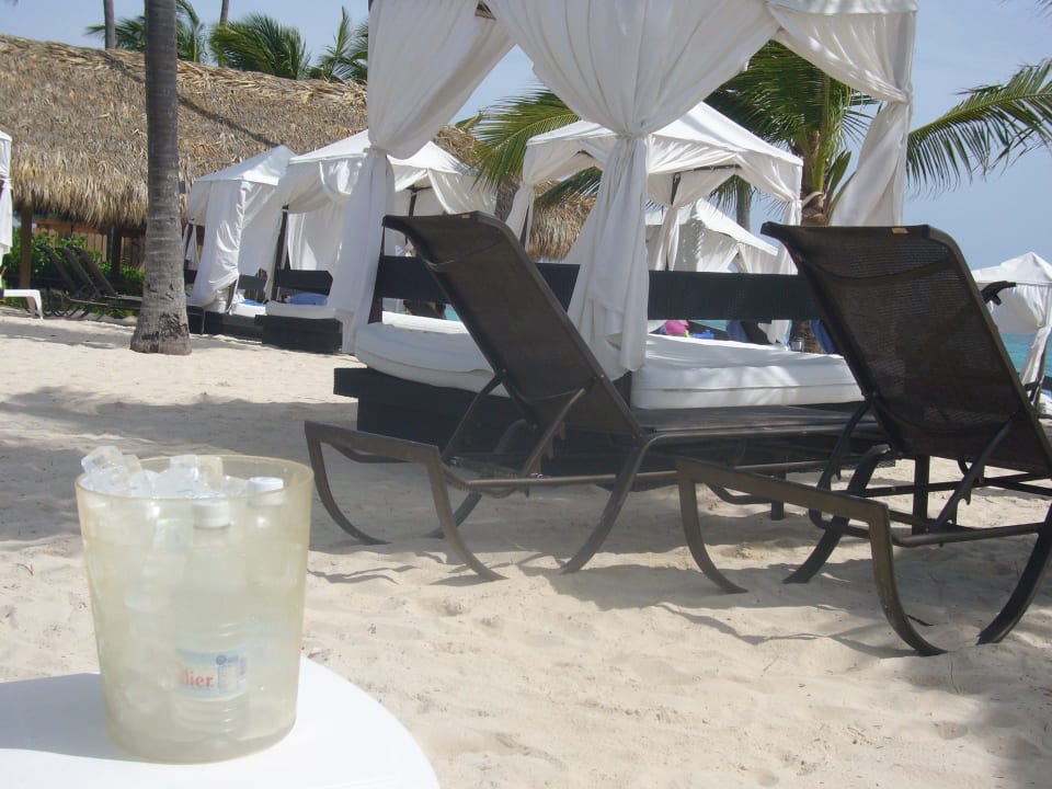 Privelege Beach Ocean Blue & Sand