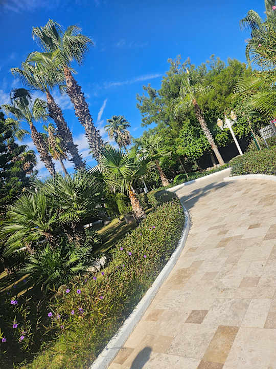 Außenansicht Delphin BE Grand