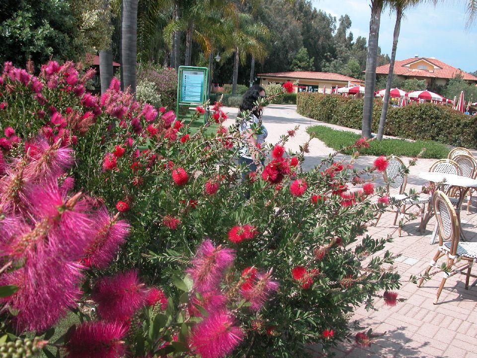 Garten Falkensteiner Club Funimation Garden Calabria