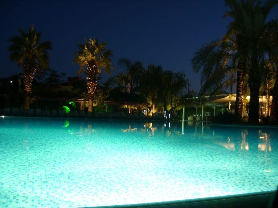 Pool Side Star Elegance