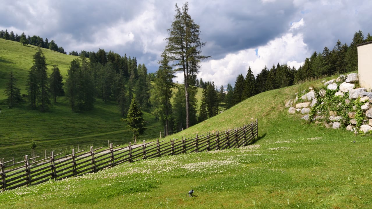 Ausblick Almwellness Hotel Pierer
